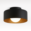 Rivorin - Ceiling Lamp Black