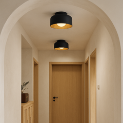 Rivorin - Ceiling Lamp Black