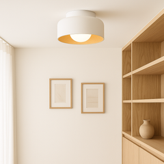Rivorin - Ceiling Lamp Black